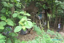 Satu Keluarga Karanganyar Tinggal di Tengah Hutan Segera "Direlokasi"
