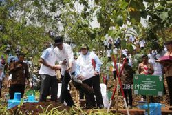 PRESIDEN DI GUNUNGKIDUL : Gunakan Sekop, Jokowi Tanam Bibit Jati