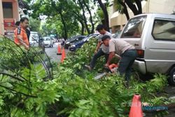 Mobil Pegawai BPPKAD Solo Rusak Tertimpa Dahan Pohon di Balai Kota