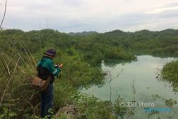 178 Hektare Tanaman Pangan di Gunungkidul Gagal Penen