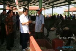 PASAR TRADISIONAL KUDUS : Wow! Limbah Pasar Ternak Kudus Jadi Biogas untuk Warga