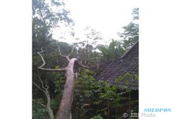 BENCANA WONOGIRI : Pohon Tumbang Rusak 5 Rumah di 4 Kecamatan
