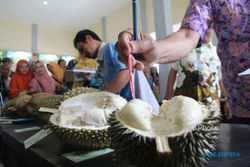 FESTIVAL DURIAN KARANGANYAR : Ikhtiar Mencari Varietas Unggul Durian Khas Bumi Intanpari