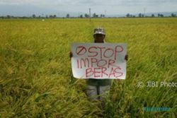 Impor Beras Masif, Neraca Perdagangan Indonesia Terancam Defisit