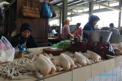 Kabar Baik, Harga Daging Ayam Berangsur Turun