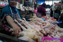 Astaga, Harga Daging Ayam di Solo masih Rp35.000 per Kilogram