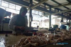 Harga Daging Ayam Masih Rp35.000 per Kg