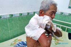 Seorang Kakek Pingsan Setelah Disengat Ratusan Tawon