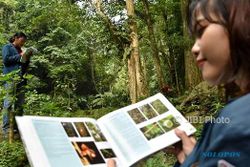 FOTO WISATA SEMARANG : Vegetasi Hutan Gunung Ungaran Didata