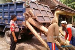 Polisi Sita 32 Batang Kayu Jati Hasil Pembalakan Liar di Sragen