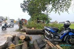 ANGIN KENCANG KLATEN : Perempuan Pengendara Motor Terluka Kena Pohon Tumbang di Jalan Solo-Jogja