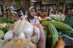 Harga Bawang Putih Naik, Pembeli Pilih yang Murah