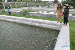 BBI Kota Madiun Hasilkan 298.000 Benih Ikan Nila dan Lele Setahun