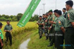 PERTANIAN JATENG : Tentara Demak Berlatih Kelola Pertanian
