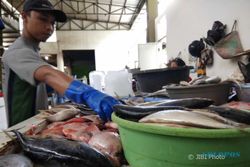 Pasokan Ikan Laut di Pasar Tersendat
