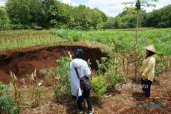 Tanah Amblas di Ponjong Semakin Meluas, Belum Ada Upaya Penanganan