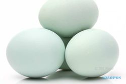Harga Telur Bebek Naik, Jadi Rp2.200 per Butir
