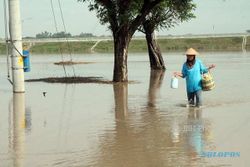 Banjir Bikin 3 Dukuh di Karangtengah Sragen Ini Tak Ubahnya Waduk Buatan