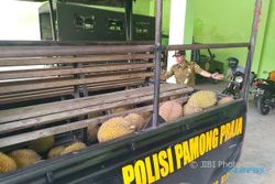 Satpol PP Klaten Sita Puluhan Buah Durian dari PKL