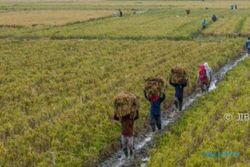 FOTO BENCANA JATENG : Jepara Dilanda Banjir Bandang