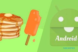 Google Mulai Perkenalkan OS Android P ke Developer