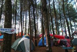 WISATA MADIUN : Berkemah Semalam Demi Promosikan Hutan Pinus Nongko Kuning