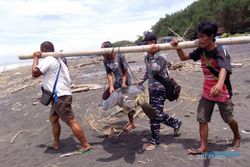 Sempat Terkena Jaring Nelayan Kulonprogo, Penyu Hijau Ini Dilepaskan