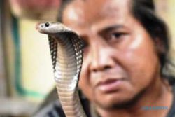 FOTO INFO BELANJA : Ular Kobra Raja Dijual di Pasar Hewan