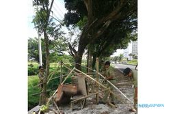 PKL SUKOHARJO : 6 Lapak Karpet hingga Buah di Jalan Solo-Sukoharjo Dibongkar Satpol PP