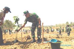 1.000 Pohon Alpukat Ditanam di Lahan Sabuk Hijau Wonogiri