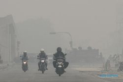 Aktivis Lingkungan: Kabut Asap Turun Saat Presiden Datang karena Ada Settingan