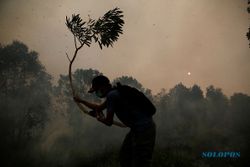 Kabut Asap Karhutla Indonesia Menyebar hingga Thailand dan Filipina