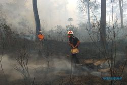 Hutan Gunung Merapi Terbakar