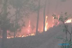 Hutan Pinus Ponorogo Terbakar, Warga Padamkan Api Pakai Gedebok