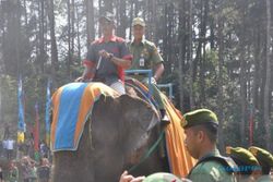 Gubernur Jateng Tunggangi Gajah di Jambore Satlinmas
