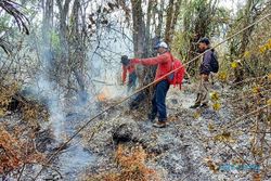 Sepekan Kebakaran, Ini Luas Hutan Terdampak di Lereng Lawu Jenawi Karanganyar