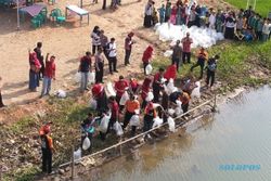 40.000 Benih Ikan Baceman Ditebar di Sungai Serayu, Ini Tujuannya...