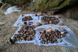 Alat dari Tulang dan Batu Manusia Purba Ditemukan di Gua Lawa Ponorogo