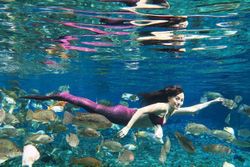 Pesona 1.001 Umbul di Klaten: Spot Snorkeling – Terapi Kesehatan