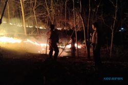 Api Hanguskan 10 Hektare Lahan Hutan Jati di Gesi Sragen