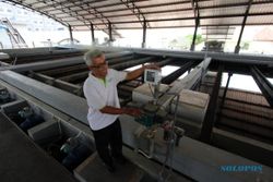 Gara-Gara Ikan Nyembul, PDAM Solo Harus Berulang Kali Setop Operasional IPA Semanggi