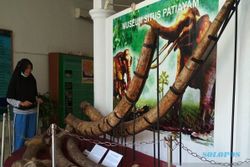 Rp2,5 M untuk Kembangkan Museum Patiayam