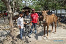 Pengumuman! Pasar Plembon Klaten untuk Jual Beli Kuda Tiap Pon