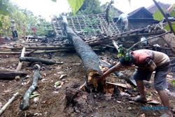Angin Kencang Terjang Jatim, 1.367 Rumah di 89 Desa Rusak