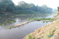 Jembatan Sesek Jebol Diterjang Derasnya Aliran Sungai Bengawan Solo