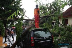 2 Mobil Tertimpa Pohon Tumbang di Klaten, Salah Satunya Milik Pemkab Semarang