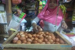 Naik Tiap Hari, Harga Telur Ayam di Boyolali Rp25.000/Kg