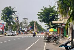 Unik, Pohon Pule Raksasa Ditanam di Tengah Jalan Kota Madiun