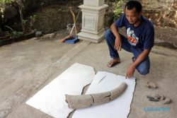 Fosil Banteng Purba Ditemukan Warga di Gemolong Sragen