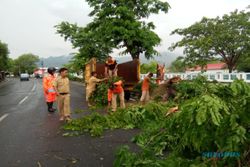 Angin Kencang Tumbangkan Pohon dan Rusak Fasilitas Terminal Bus Wonogiri